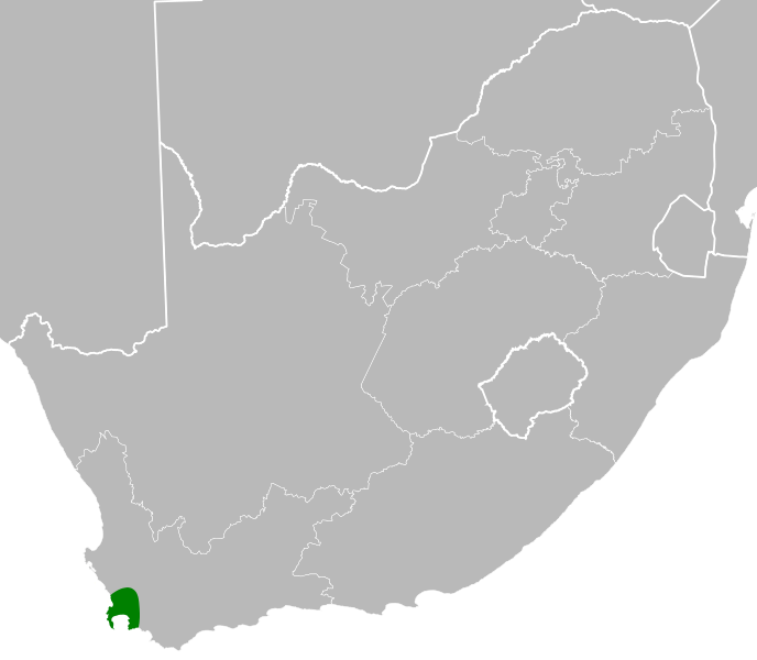 File:Xiphotheca lanceolata distribution.svg