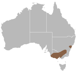File:Delma impar distribution.svg