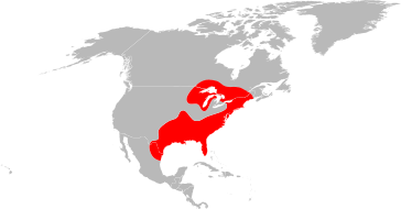 File:Ixodes scapularis range map.svg