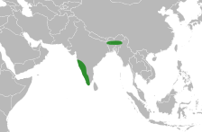 File:Ariopsis distribution.svg