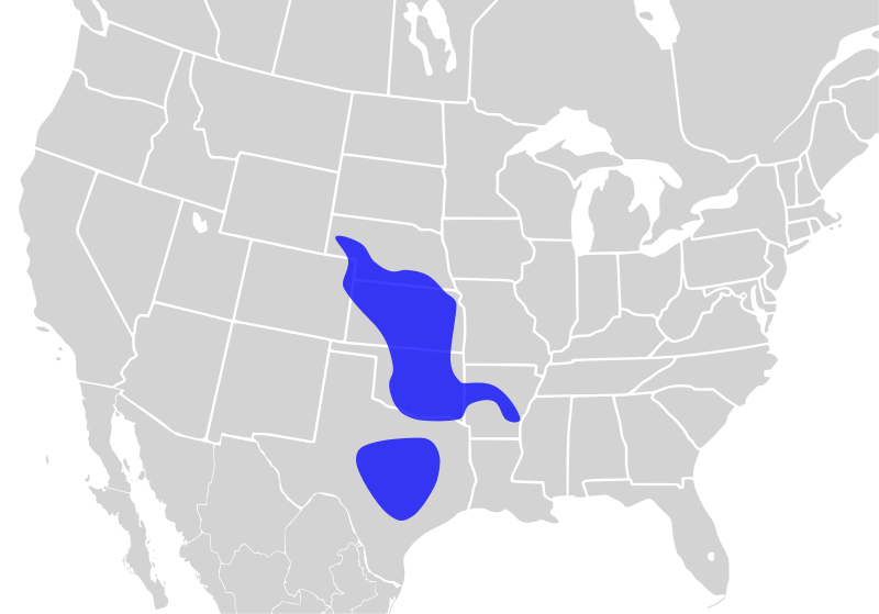 File:Etheostoma pulchellum distribution.svg