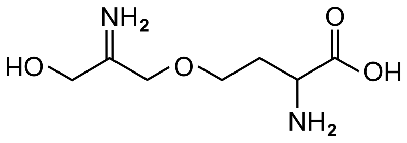 File:Dihydrorhizobitoxine.svg