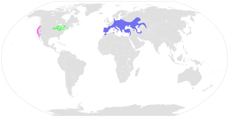 File:Emys distribution.svg
