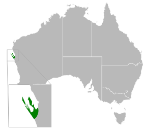 File:Aprasia haroldi distribution.svg