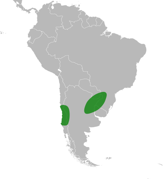 File:Quillajaceae distribution.svg