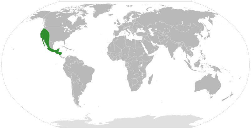 File:Cercocarpus distribution.svg