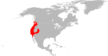 File:Ixodes pacificus range map.svg