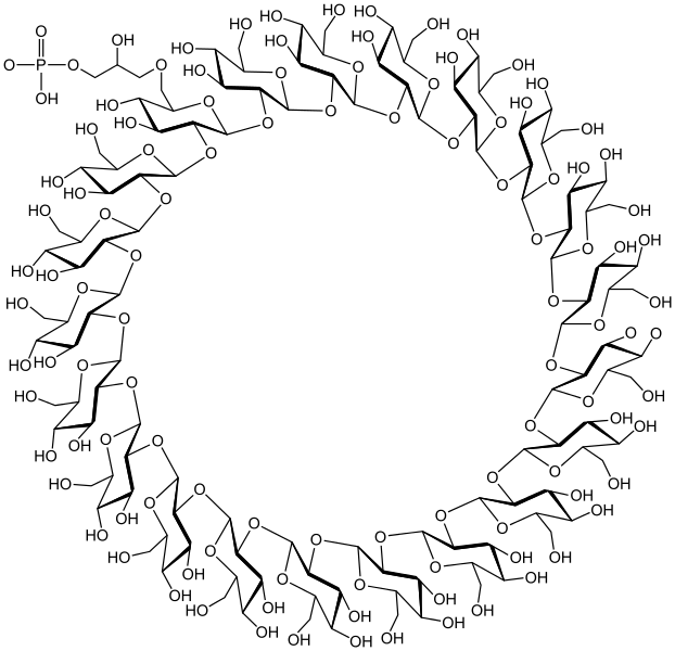 File:Cyclosophoroheneicosaose.svg