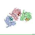 1H6K.pdb.jpg
