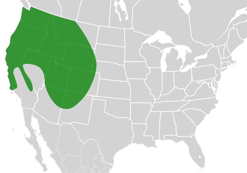 File:Bombus bifarius distribution.svg