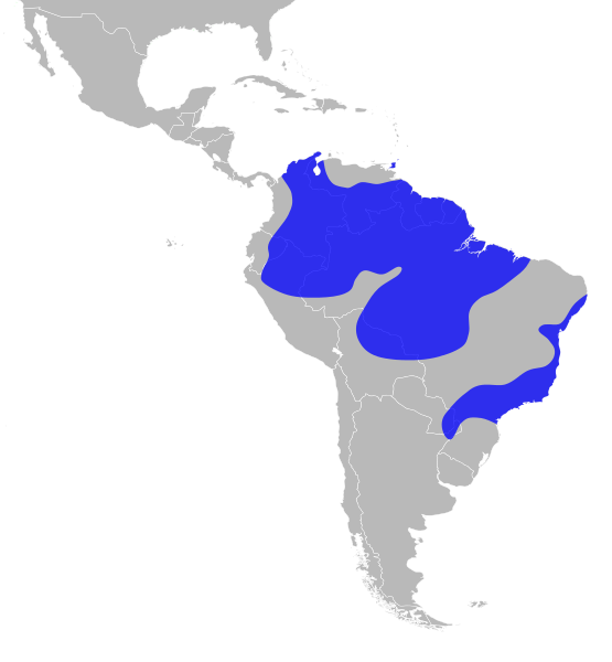 File:Manacus manacus distribution.svg
