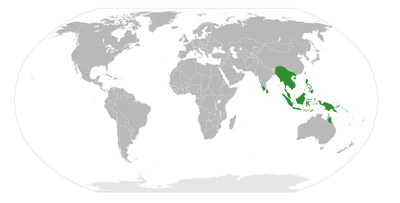 File:Xanthophylleae distribution.svg