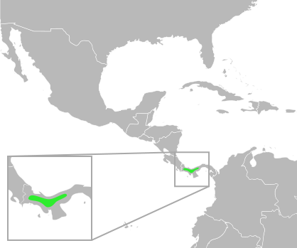 File:Bufo signifer distribution.svg