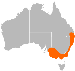 File:Euastacus distribution.svg