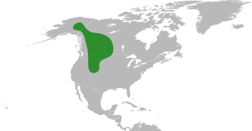 File:Primula incana distribution.svg