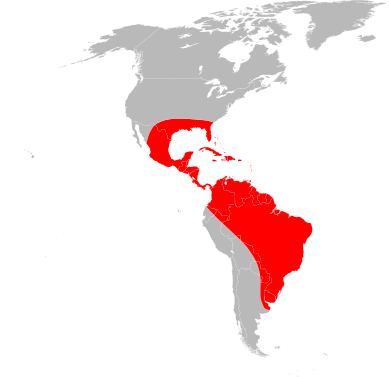 File:Amblyomma cajennense range map.svg