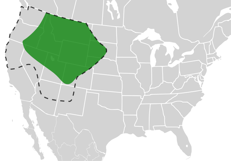 File:Bombus occidentalis distribution.svg