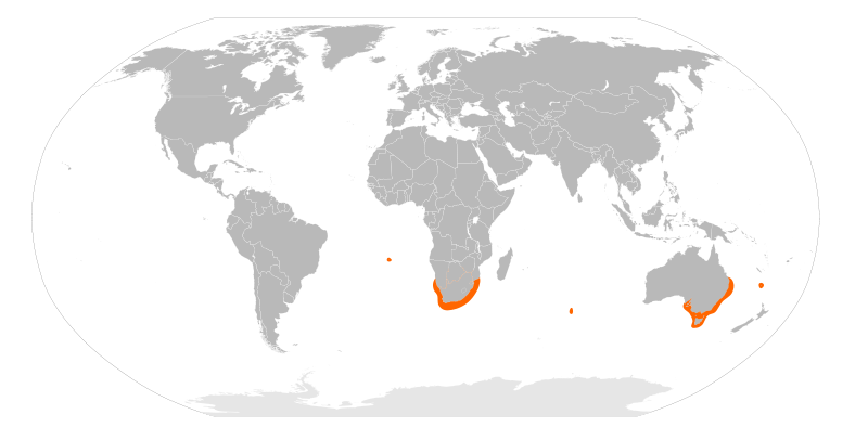 File:Parvalustra exigua distribution map.svg