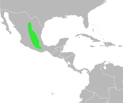 File:Bufo occidentalis distribution.svg