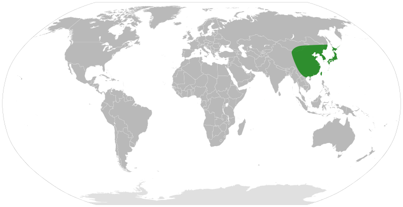 File:Pinellia distribution.svg