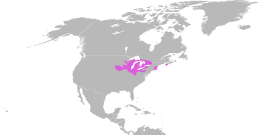 File:Emys blandingii distribution.svg
