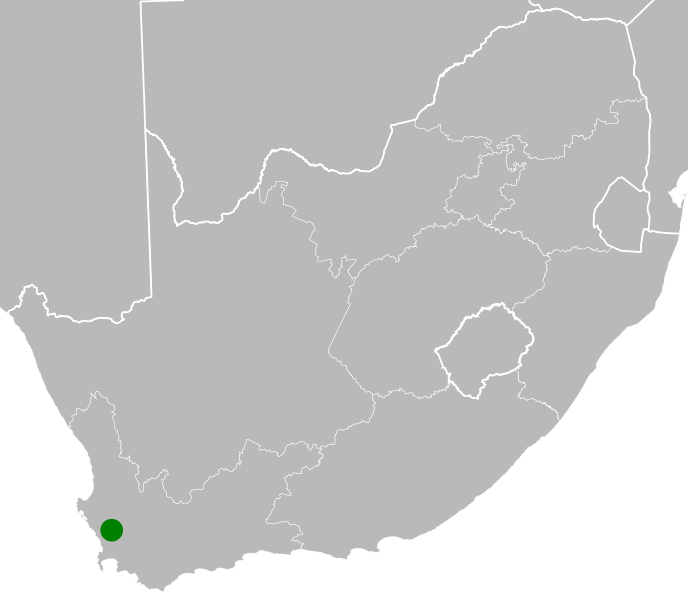 File:Lebeckia zeyheri distribution.svg