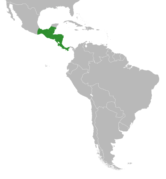 File:Machaerium falciforme distribution.svg