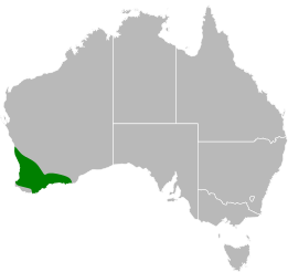 File:Aprasia repens distribution.svg