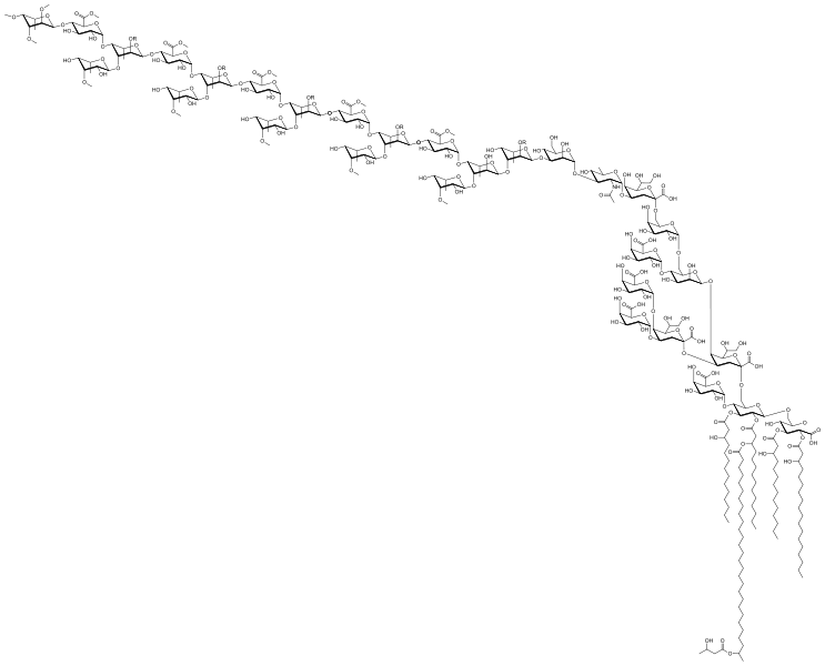 File:Lipopolysaccharide of Rhizobium etli strain CE3.svg