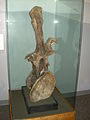 Thumbnail for version as of 06:31, 5 January 2009