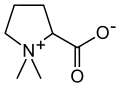 Thumbnail for version as of 05:33, 29 June 2010