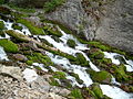 Thumbnail for version as of 04:31, 18 July 2010