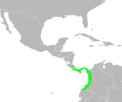 File:Bufo coniferus distribution.svg