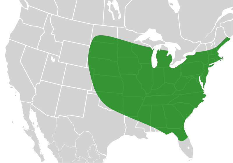 File:Bombus bimaculatus distribution.svg