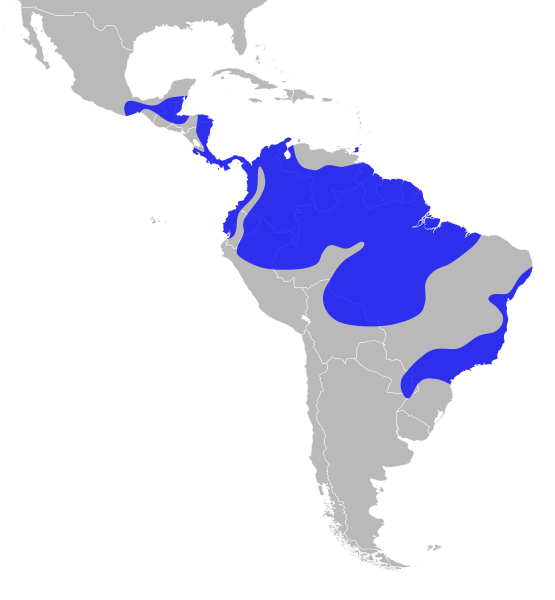 File:Manacus distribution.svg
