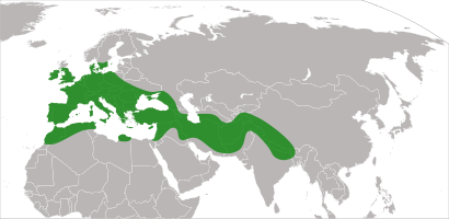 File:Arum distribution.svg