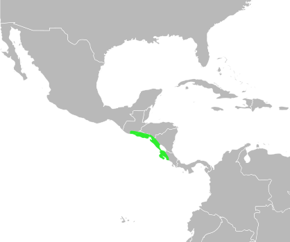 File:Bufo luetkeni distribution.svg