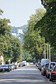 Goetheallee2012-2.jpg