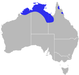File:Pygopus steelescotti distribution.svg