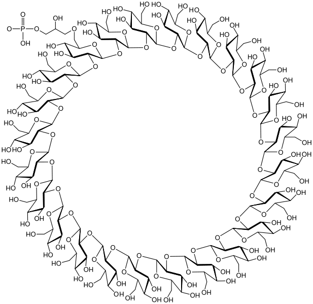 File:Cyclosophorotetracosaose.svg