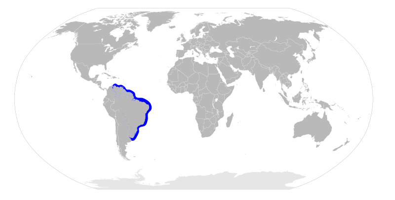 File:Sphyrna tudes distribution map.svg