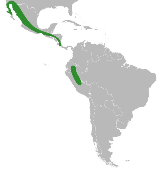 File:Brongniartia Distribution Map.svg