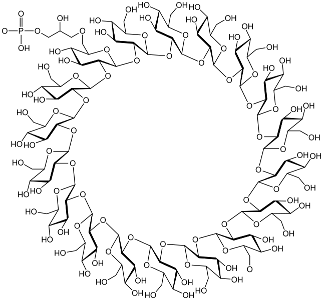 File:Cyclosophoro-octadecaose.svg