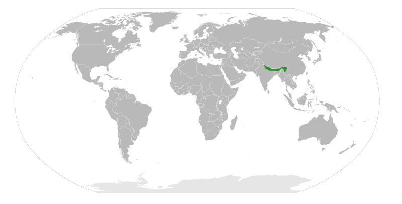 File:Piptanthus nepalensis distribution.svg