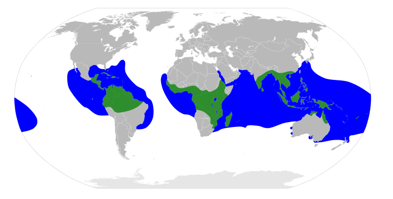 File:Rhizophoraceae Distribution.svg