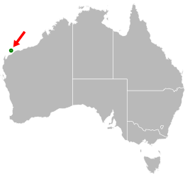 File:Aprasia rostrata distribution.svg