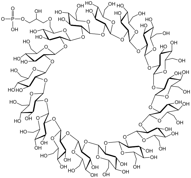 File:Cyclosophoroheptadecaose.svg