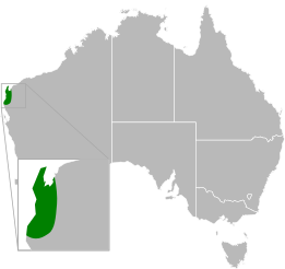 File:Aprasia fusca distribution.svg