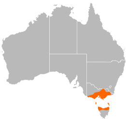 File:Engaeus distribution.svg