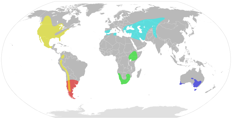 File:Oxyura distribution.svg